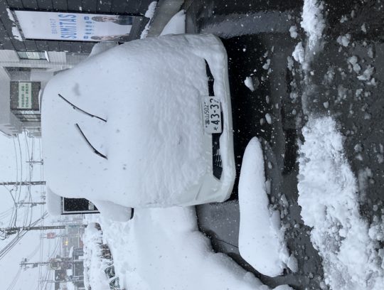 雪！雪！雪！ サムネイル